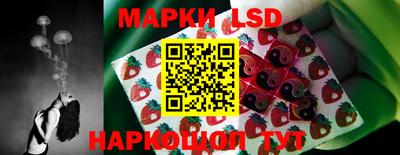 гашик Славгород