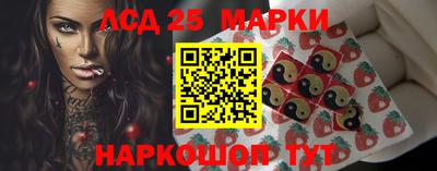 гашик Славгород